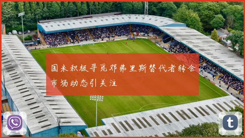 国米积极寻觅邓弗里斯替代者转会市场动态引关注