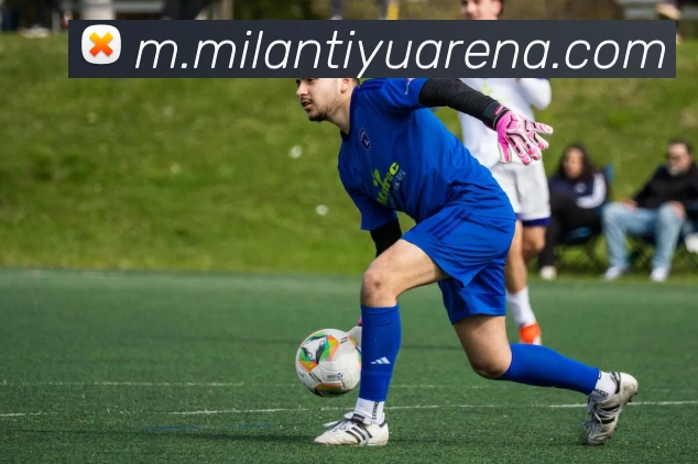 米兰体育平台生态图