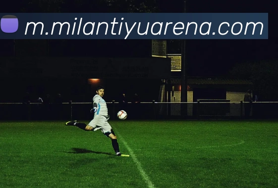 米兰体育APP 封面图